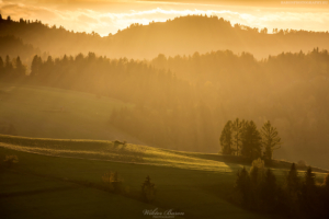 Pieniny 