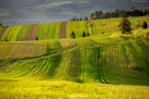 Widok z Grandeusa na Pieniny