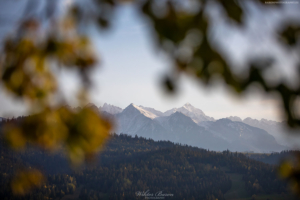 Pieniny