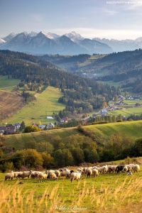 Pieniny 