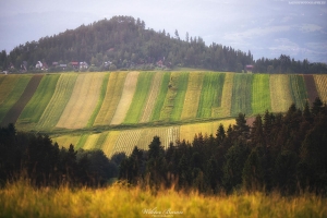 Widok na pola w Pieninach Spiskich z wierzchołka Grandeusa 