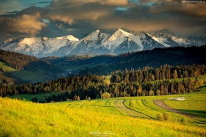 Grandeus - widok na Tatry 