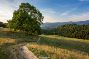 Polana pod Wysoką