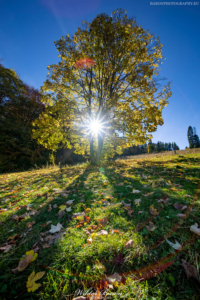 Polana pod Wysoką