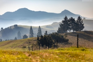 Przełęcz pod Tokarnią