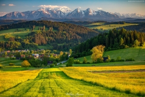 Widok z Pienin na Tatry