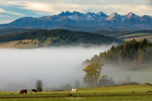 Pieniny