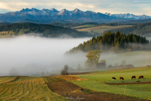 Widok z Pienin na Tatry