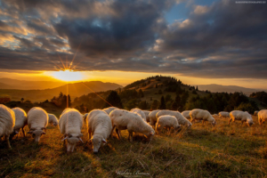 WYSOKI-WIERCH-PIENINY-26