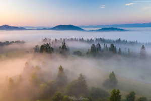 Pieniny