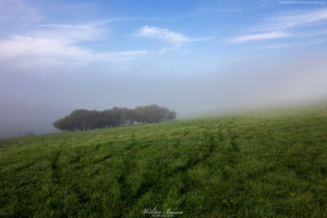 Pieniny