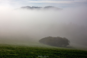 Pieniny