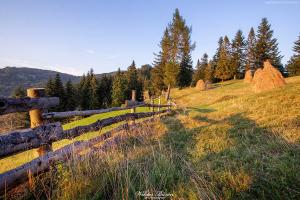 Beskid Sądecki
