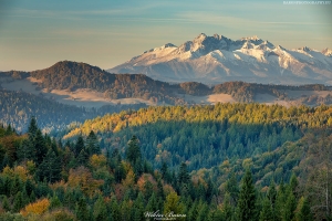 Widok na Tatry z Przełęczy Gromadzkiej w Piwnicznej 