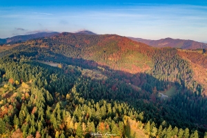 Widok na Beskid Sądecki w Piwnicznej