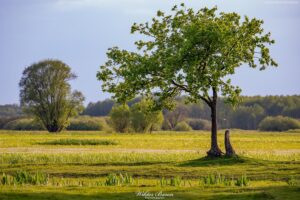 Podlasie 