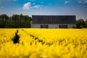 Podlasie 