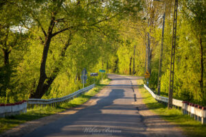 Podlasie 