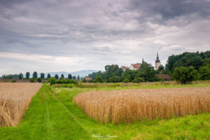 Stary Sącz