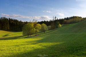 Krajobraz Suwalszczyzny