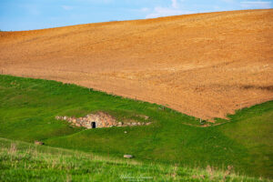 Piwnica w Łopuchowie