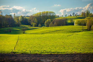 Krajobraz Suwalszczyzny