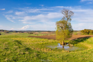 Krajobraz Suwalszczyzny