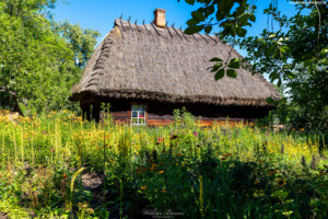 Muzeum Rolnictwa w Ciechanowcu