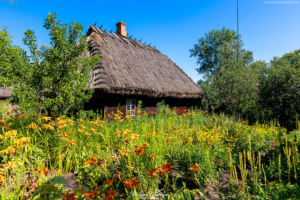 Muzeum Rolnictwa w Ciechanowcu