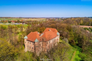 Zamek w Dębnie 