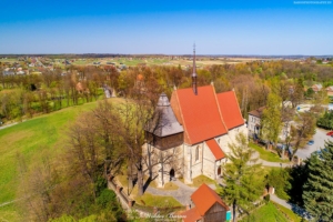 Zamek w Dębnie 