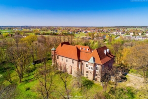 Zamek w Dębnie 