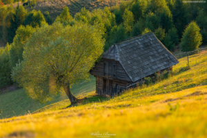 Góry Bucegi