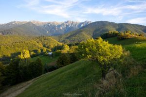 Transylwania - Sighisoara