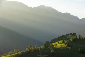 Transylwania - Zamek Bran