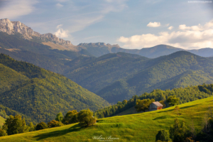 Transylwania - Viscri