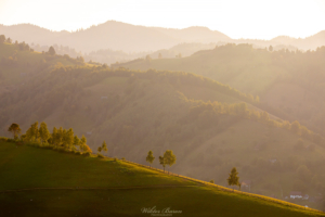 Transylwania - Viscri