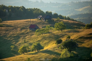 Transylwania