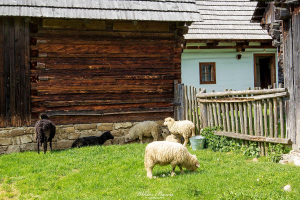 Muzeum Wsi Liptowskiej 