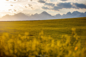 Tatry