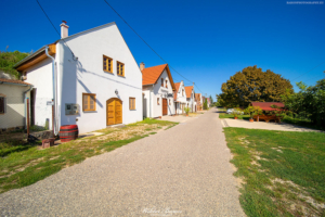 Tokaj