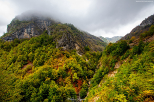 TAMARE-ALBANIA-6