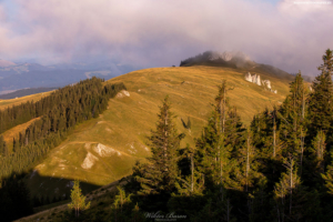 Góry Rarău - Bukowina