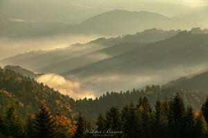 Mgły w dolinie Czercza 