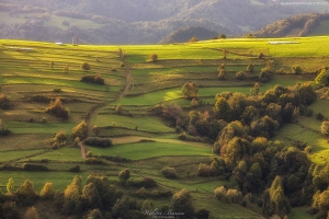 Łąki i pastwiska w Łomnicy