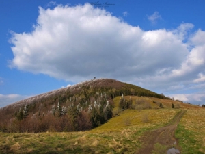 Widok na wierzchołek Mogielicy z polany Stumorgowej        