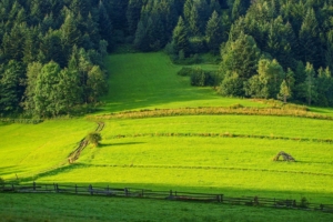 Beskid Niski