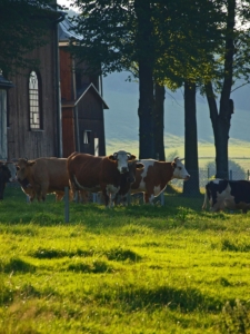 Beskid Niski