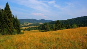 Beskid Niski