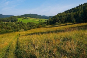 Beskid Niski